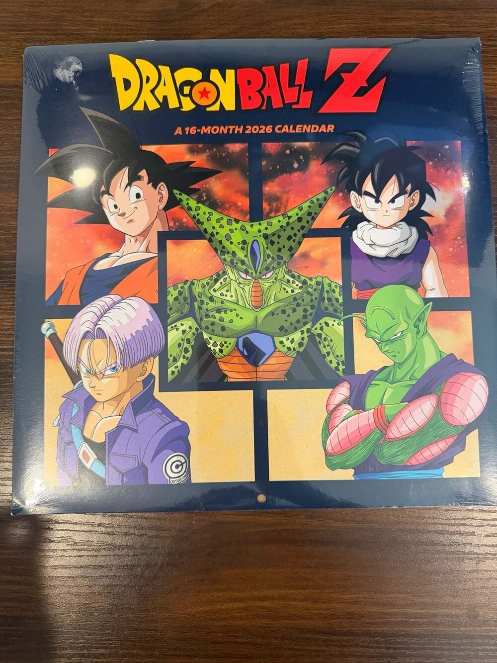 Trends International Dragon Ball Z 2026 16-Month Wall Calendar New